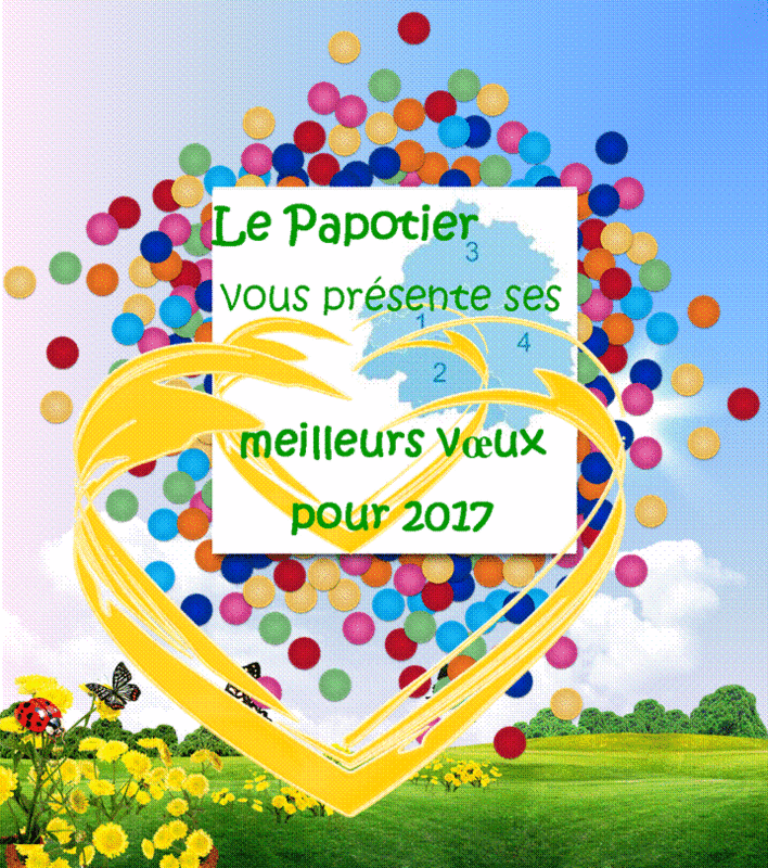 Meilleurs voeux 2017