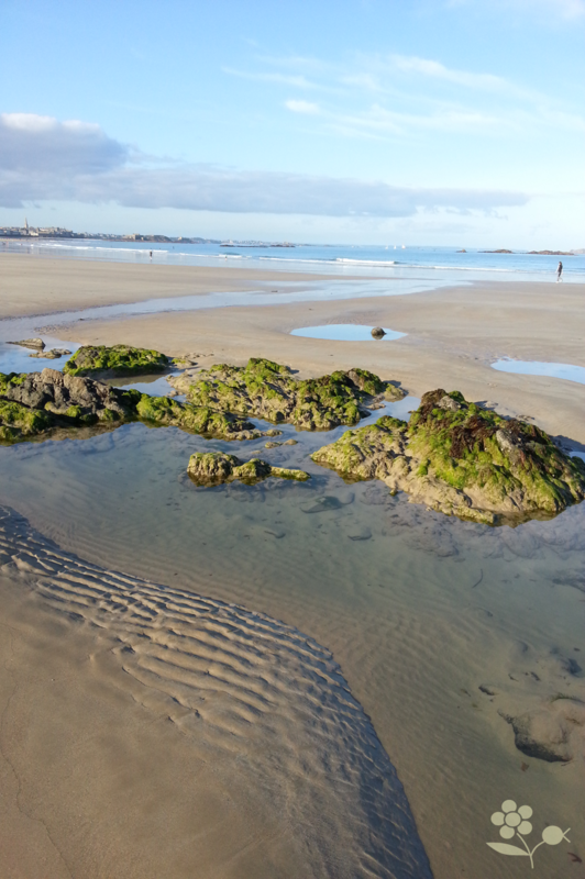 Saint Malo, plage à marée basse_3