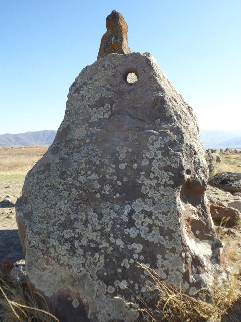a31