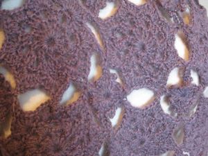 etole_aster_et_chocolat_glace_03