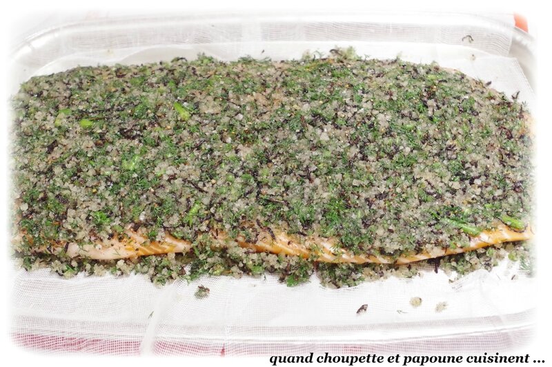 gravlax-6791