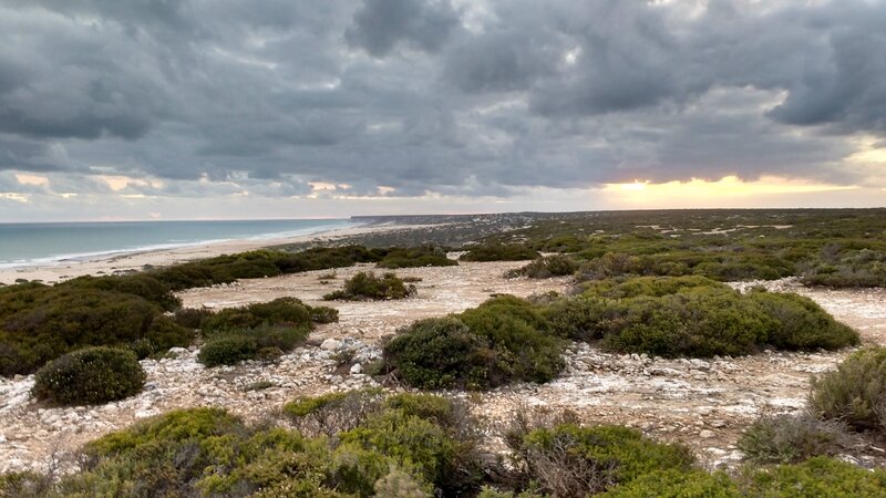 Plaine de Nullarbor (34)