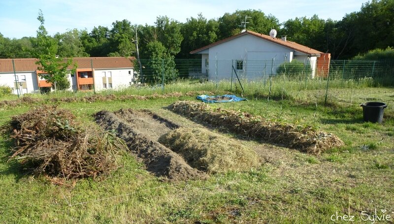 Potager permaculture 2e butte 03