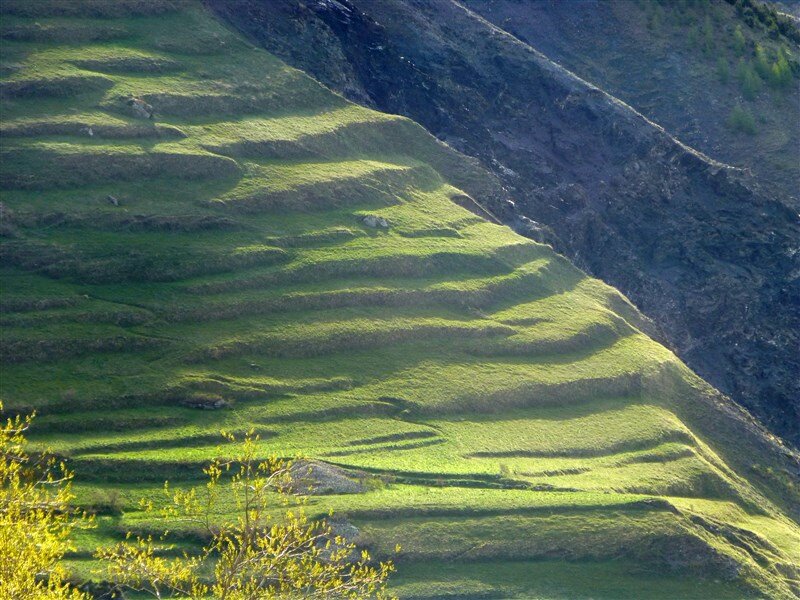 P1140040