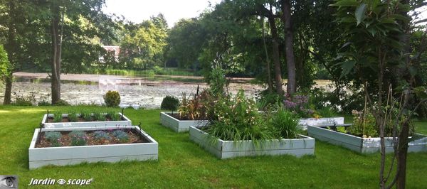 Potager en carrés