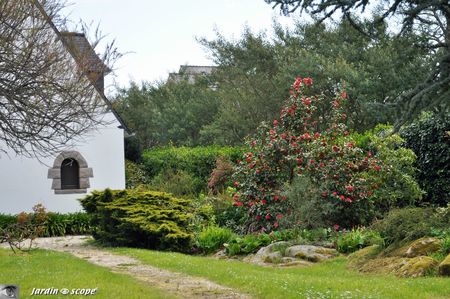 0096-Ile-de-Bréhat