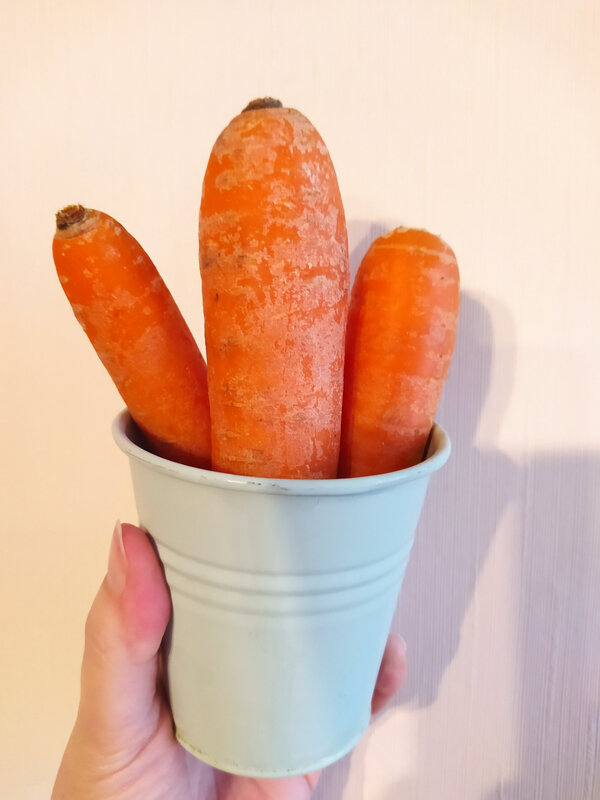 regrow carottes