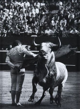 01_Archaic_Bronze_Wine_Vessel___Cover