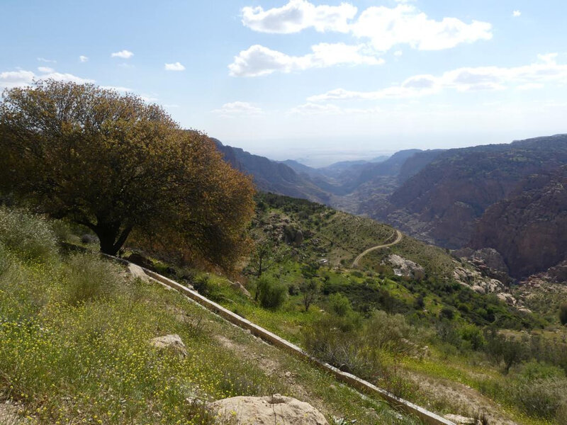 P1000663
