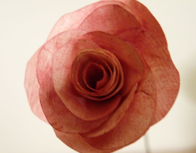 Rose de papier et acquarelle, détail