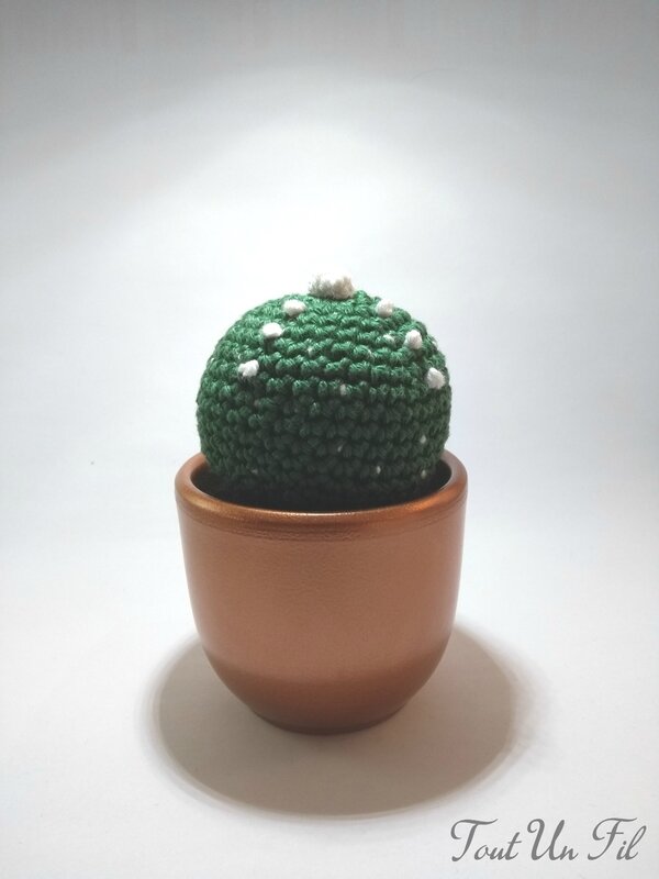 Cactus boule Pot Bronze Tout Un Fil 01