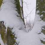 2012-12-078