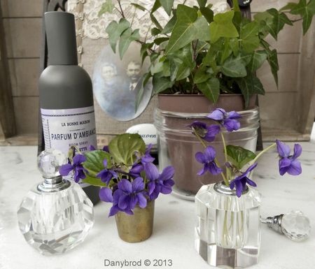 violettes