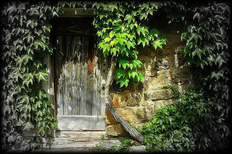 lierre porte