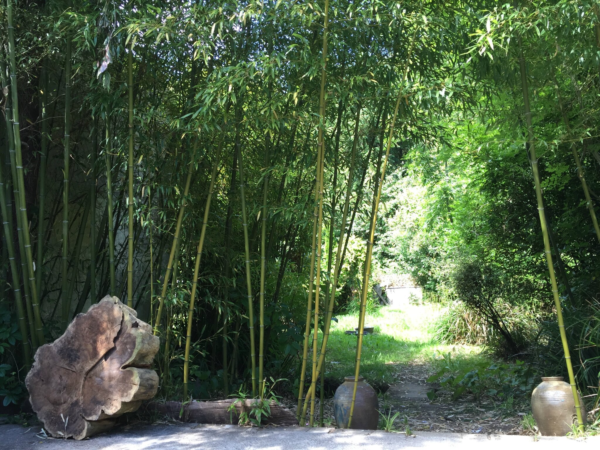 le jardin de l'atelier. DR Le Meubl du Photographe