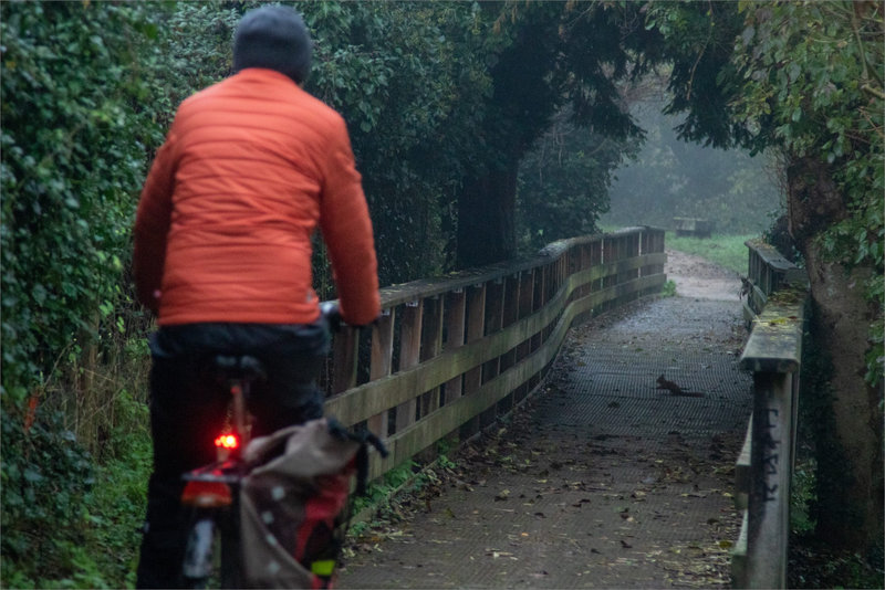 Brouillard matin 291122 6 ym orange cyclo écureuil