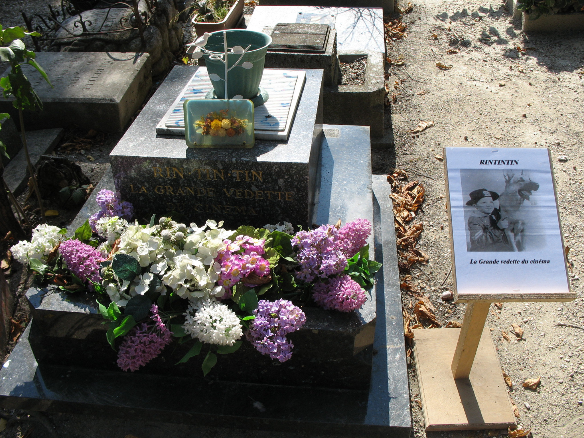 Asnières-sur-Seine, cimetière des animaux, Rintintin (92)
