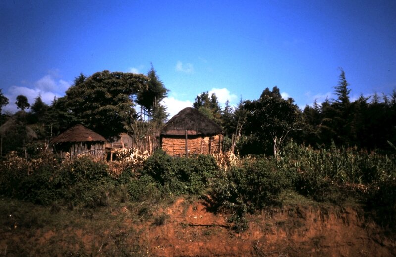 tanzanie 35