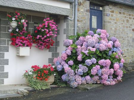 Mortain 2