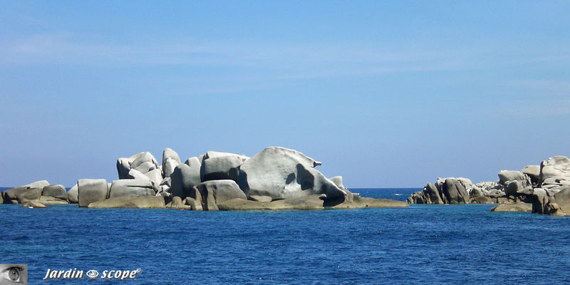 Les Îles lavezzi