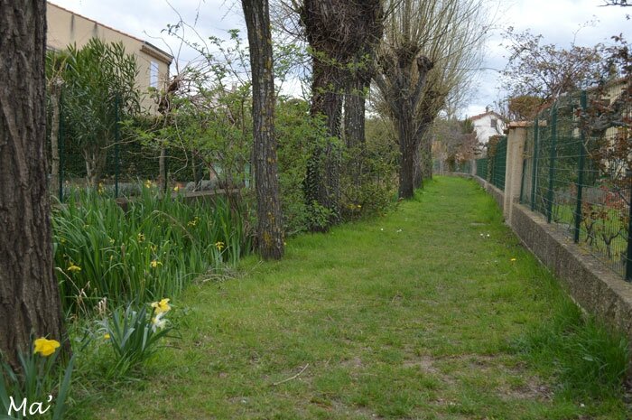 150329_canaux_chateauvert9