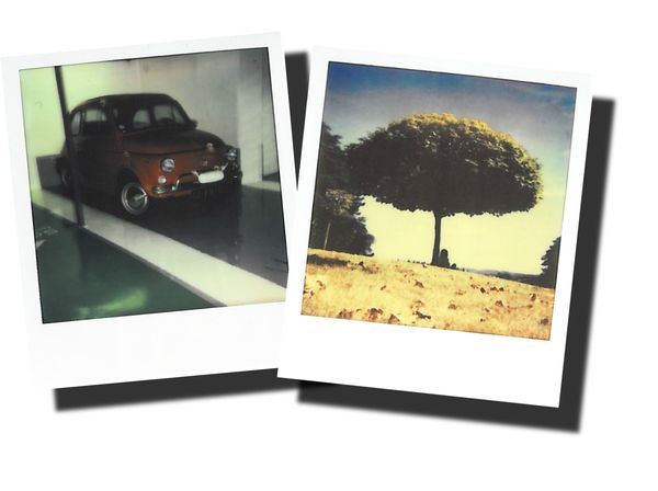 car&tree