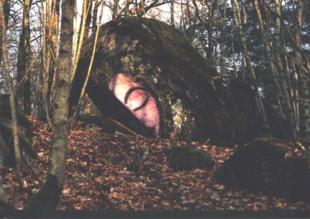 rapeau1