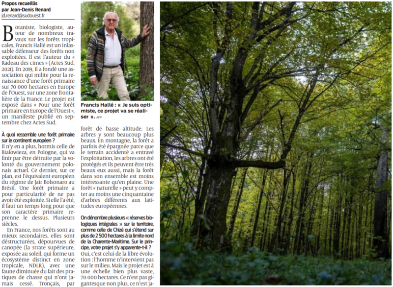 2021 11 28 SO Une forêt primaire en France la célébration de la beauté2