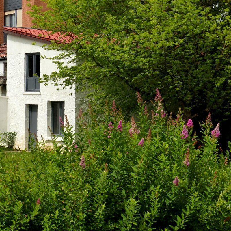 aa balade au fond du jardin3