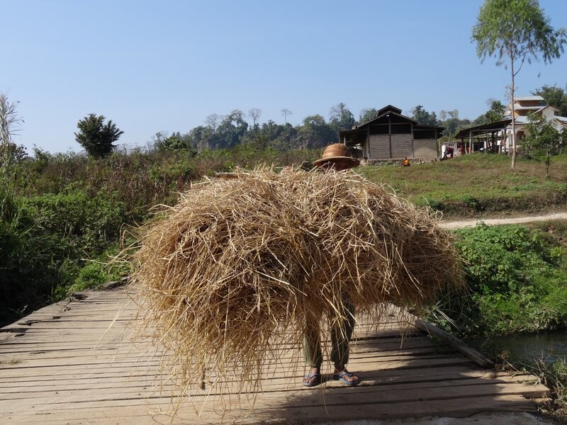 Hsipaw J3 (7)