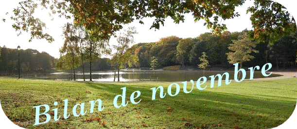 bilan de novembre