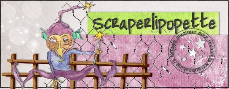 logo scraperlipopette
