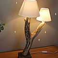 <b>DIY</b> faire une lampe soi-même - Modèle en bois flotté #1