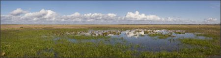 Aiguillon_prairie_inondee_pano_200210