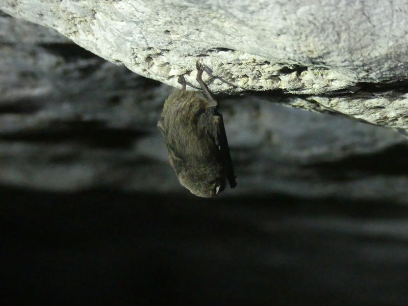 P1140176