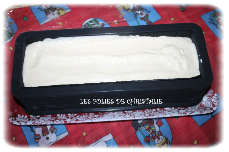Bûche exotique 9