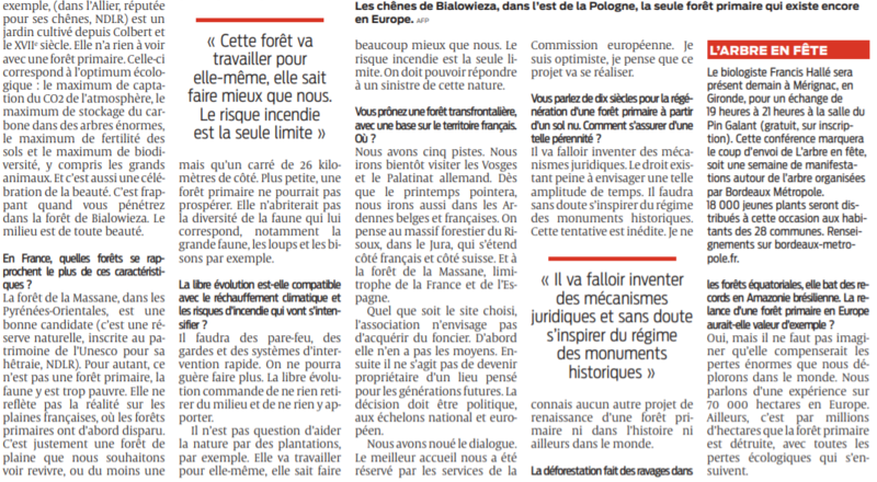 2021 11 28 SO Une forêt primaire en France la célébration de la beauté3