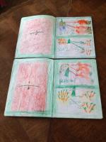 Papillons et libellules