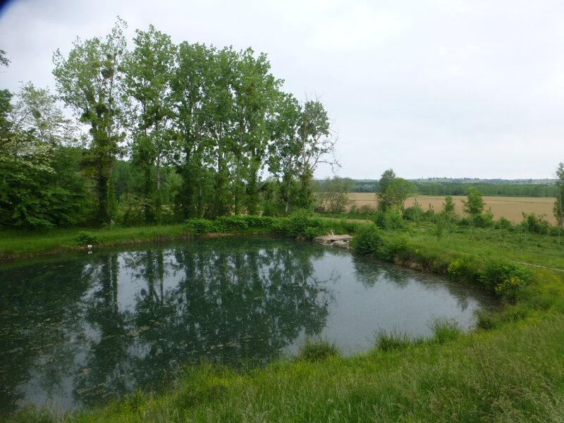 P1100751