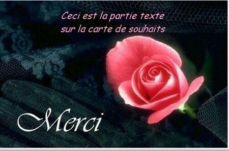 merci_rose