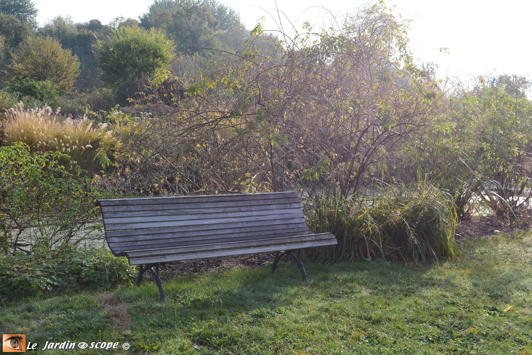 Banc jardin bois classique à Berville (28)