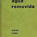 <b>WALDO</b> <b>ROJAS</b>: 1964 