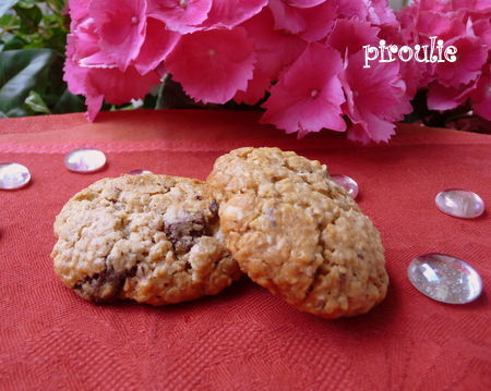 cookies_avoine__6_