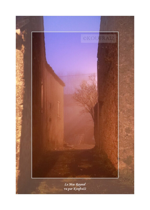 Photos JMP©Koufra 12 - Cornus - Mas Raynal - 01122019 - 0011