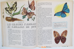 LES-PAPILLONS-7-grand-livre-d'or-muluBrok