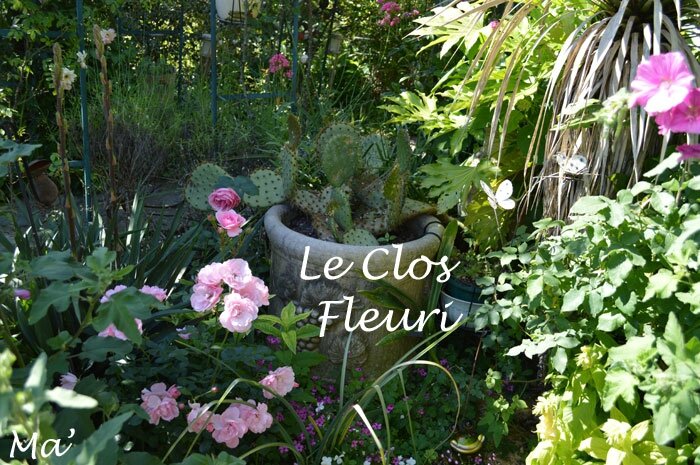 140531_clos_fleuri0