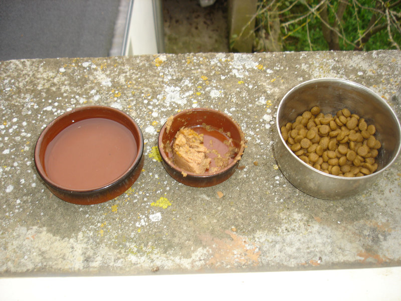 DSC06857