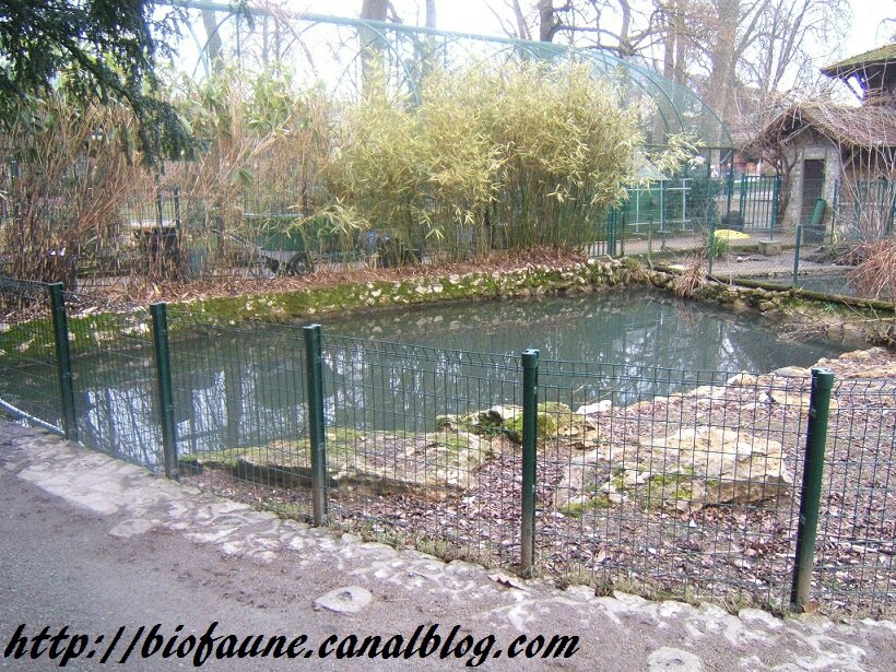 phoque jardin botanique tours