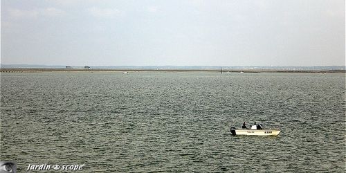 Le bassin et l'île aux oiseaux au large