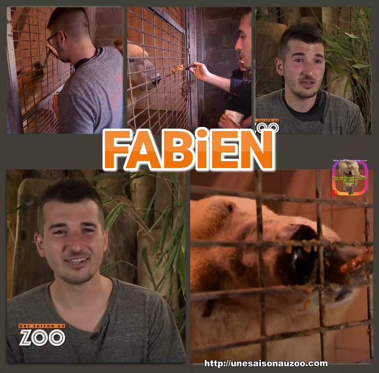 FABiEN